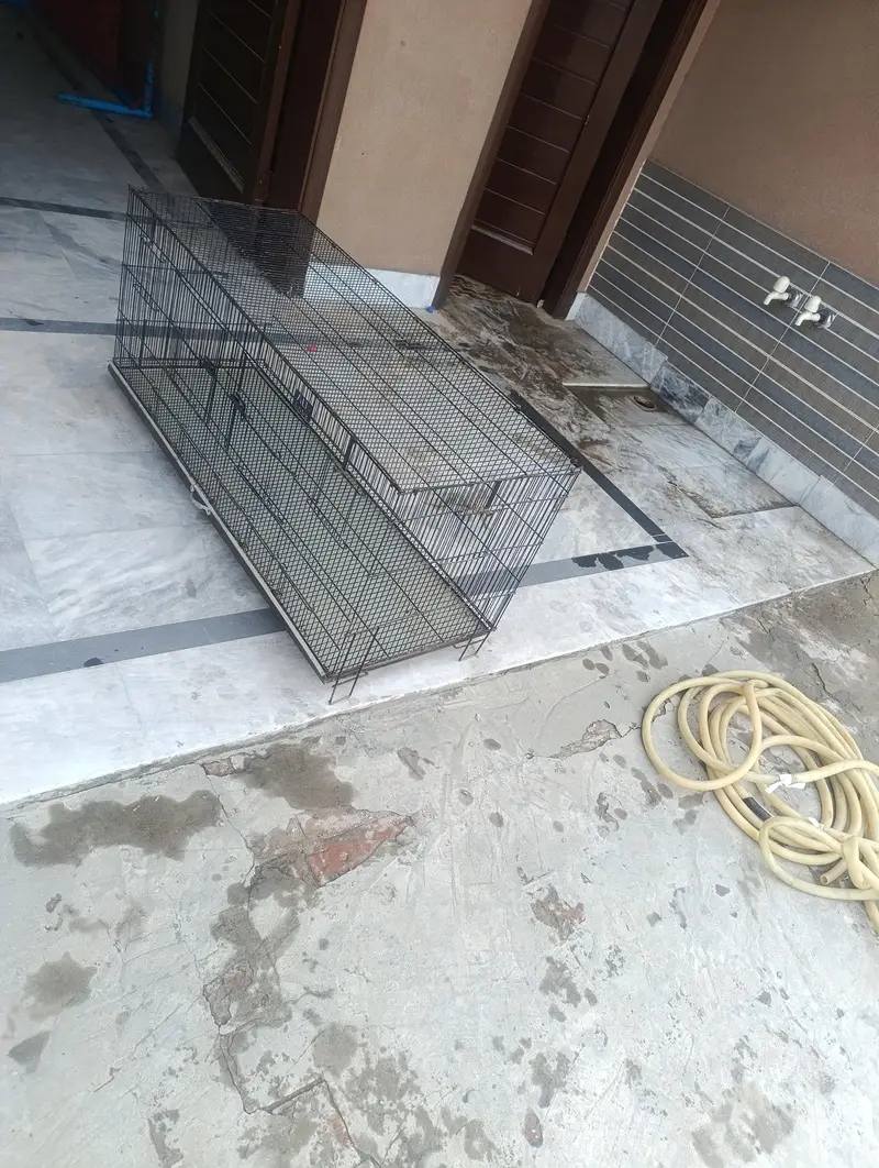 Animal Cage (Hens & Parrots etc. . ) — photo 2