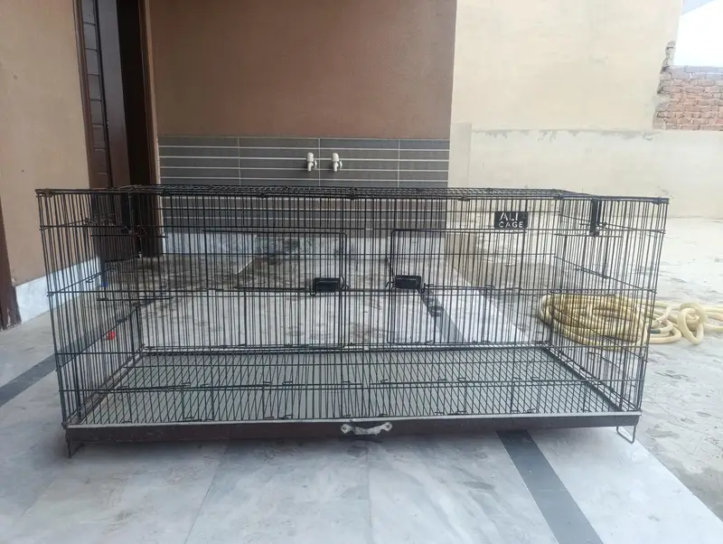 Animal Cage (Hens & Parrots etc. . ) — photo 3