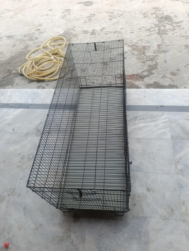 Animal Cage (Hens & Parrots etc. . ) — photo 4