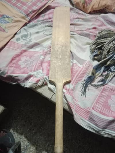 hard ball cricket bat