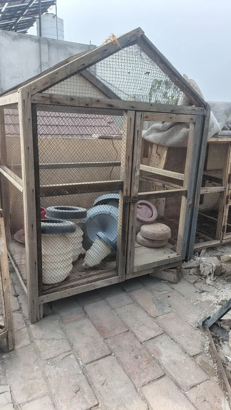 Hens and Birds wodden cages