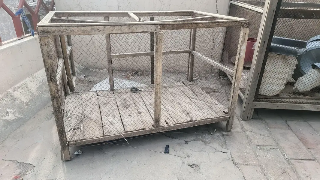 Hens and Birds wodden cages — photo 2