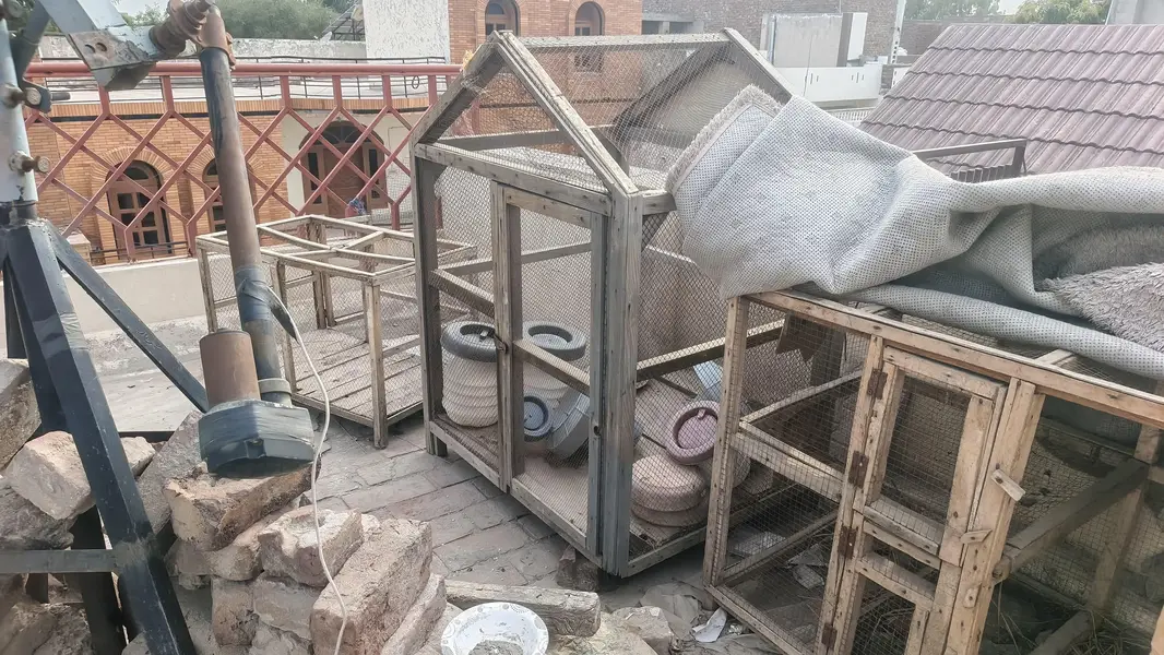 Hens and Birds wodden cages — photo 4