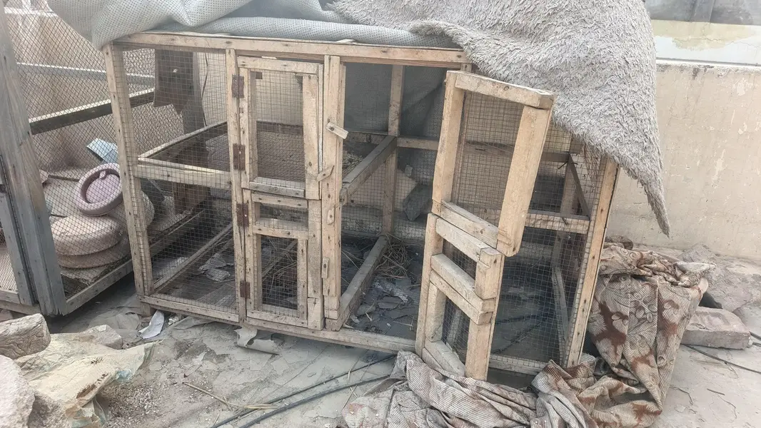Hens and Birds wodden cages — photo 5