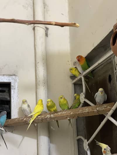 Urgent sale