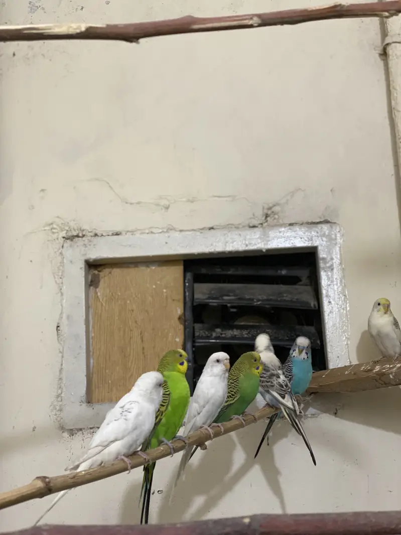 Urgent sale — photo 2