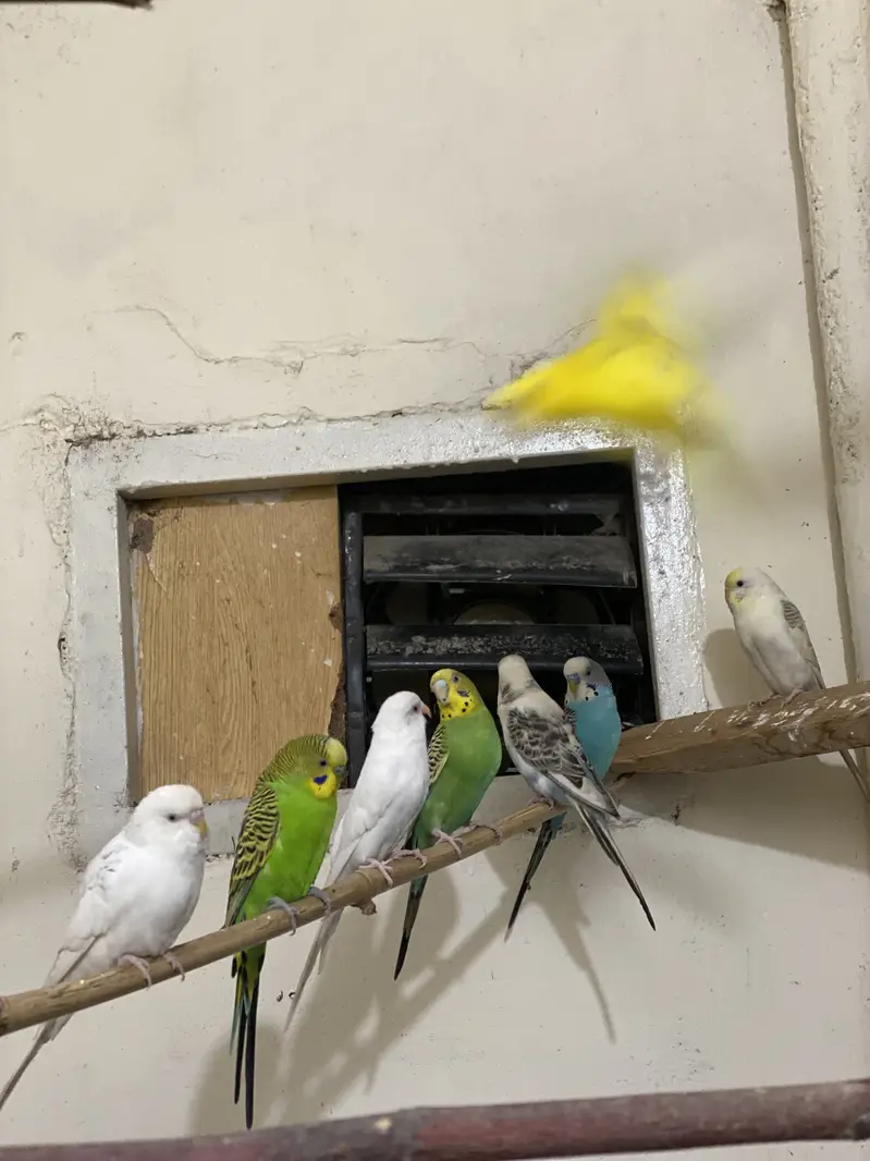 Urgent sale — photo 3