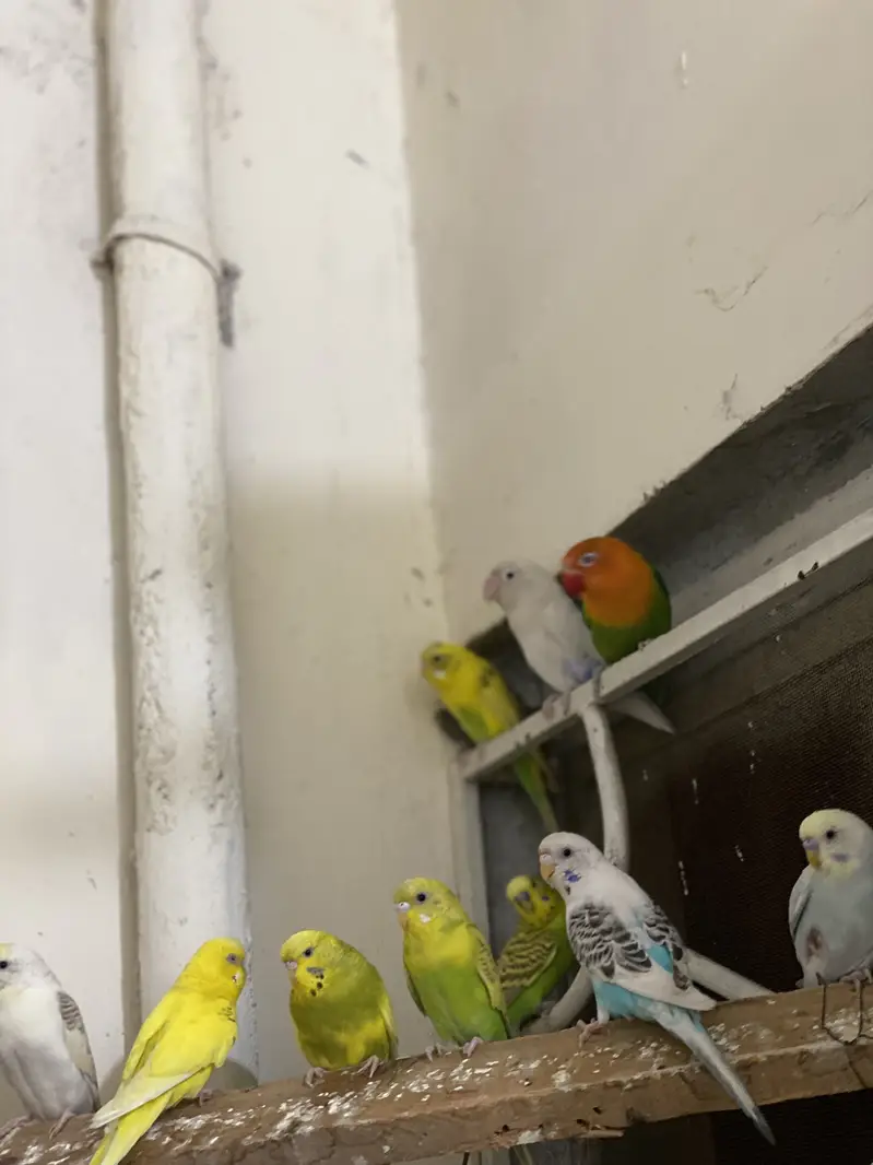 Urgent sale — photo 5