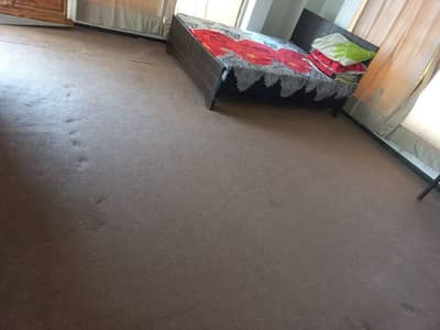 12*15 carpet condition 10/10