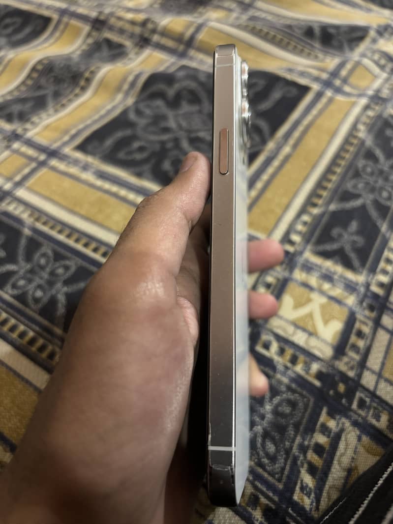 IPhone 13 Pro Max 1