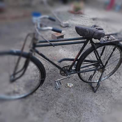 order cycle