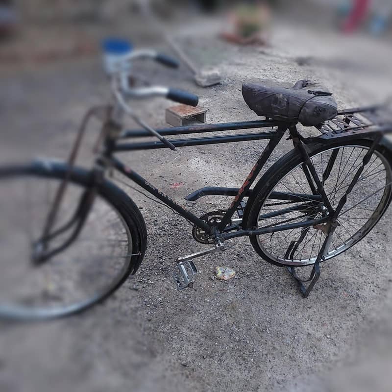 order cycle 0