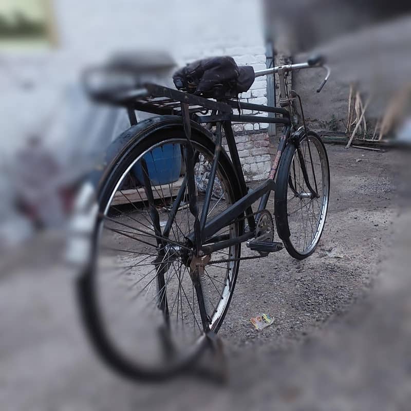order cycle 5