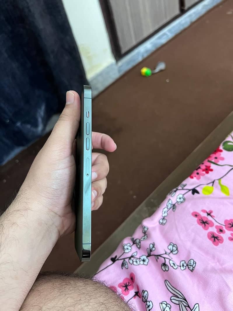 Apple iPhone 13 Pro Max 3