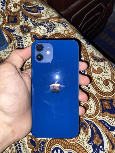 Apple iPhone 12