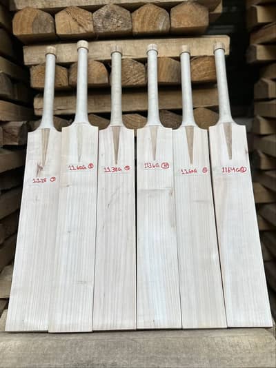 Premium Grade English Willow Cricket Bats | Hardball Cricket Bats