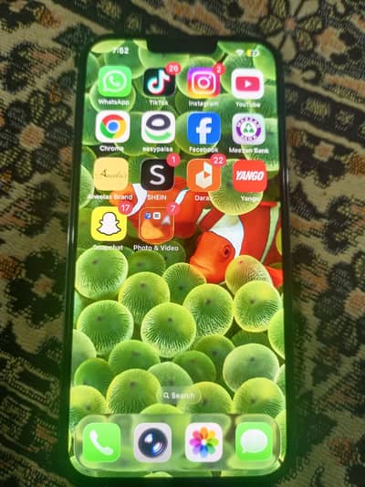 Apple iPhone 13 Pro Max