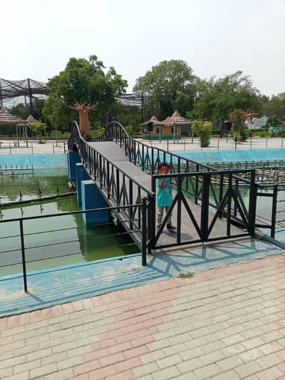 Near to plot 268 b