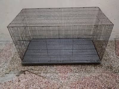 Parrot Cage | Hen Cage | Aseel Cage| Cat Cage