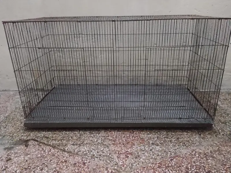 Parrot Cage | Hen Cage | Aseel Cage| Cat Cage — photo 2