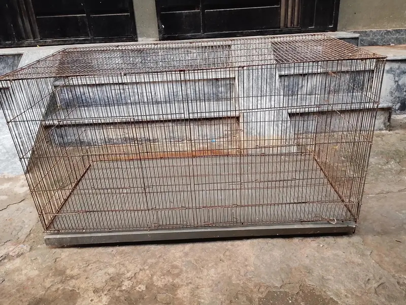 Parrot Cage | Hen Cage | Aseel Cage| Cat Cage — photo 3