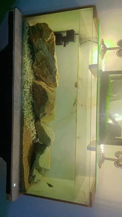 Fish aquarium simple and elegant