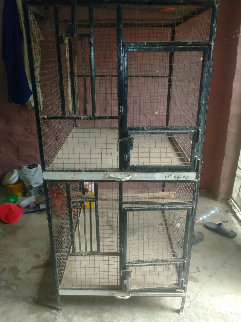iron cage 03042960384wthp only — photo 2