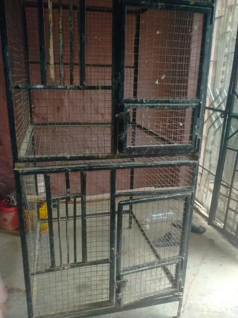 iron cage 03042960384wthp only — photo 3