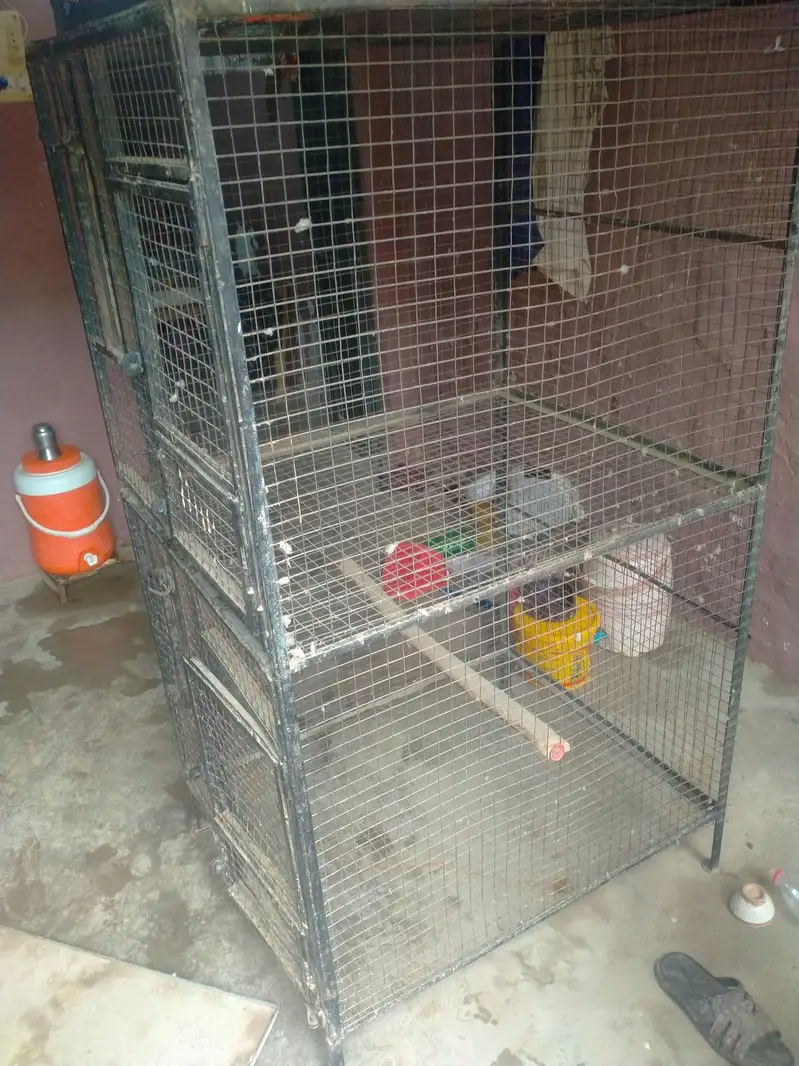 iron cage 03042960384wthp only — photo 4