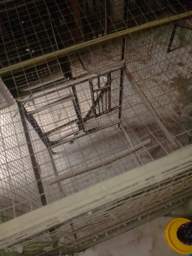iron cage 03042960384wthp only — photo 5