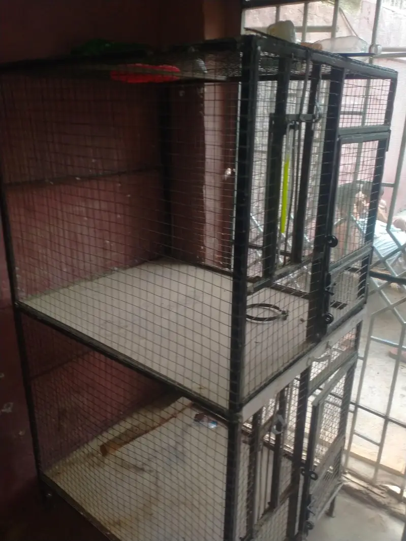 iron cage 03042960384wthp only — photo 6