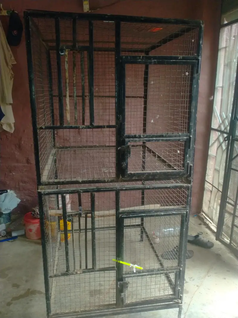 iron cage 03042960384wthp only — photo 7