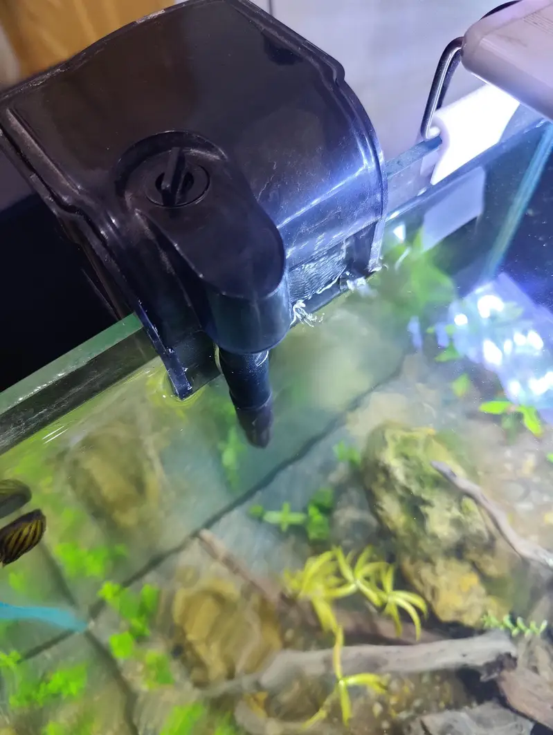 planted aquarium — photo 3