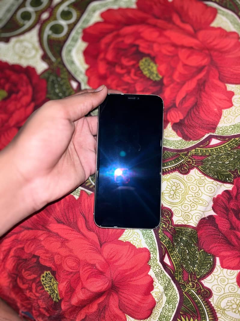 Apple iPhone 11 Pro 1