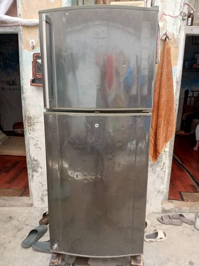 selwar body