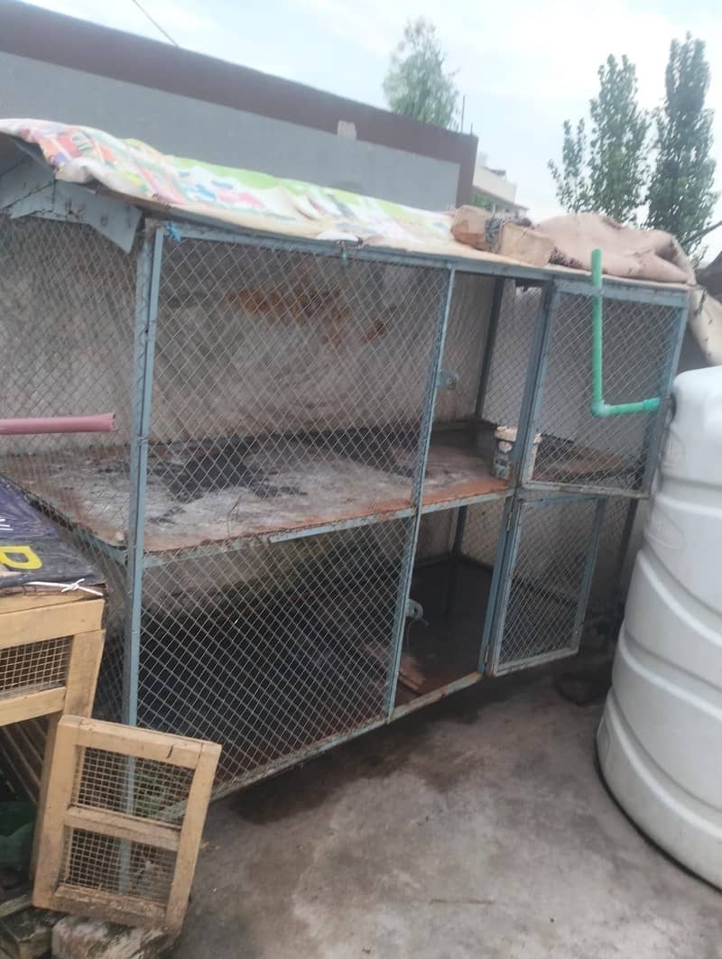 Cages 0