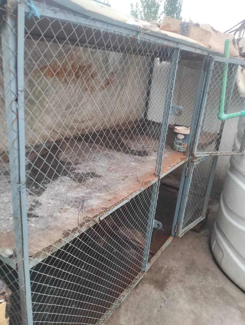 Cages 1