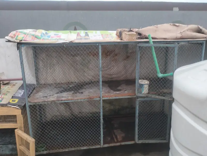 Cages — photo 4