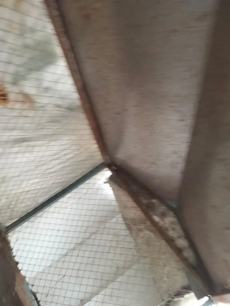 Cages — photo 5