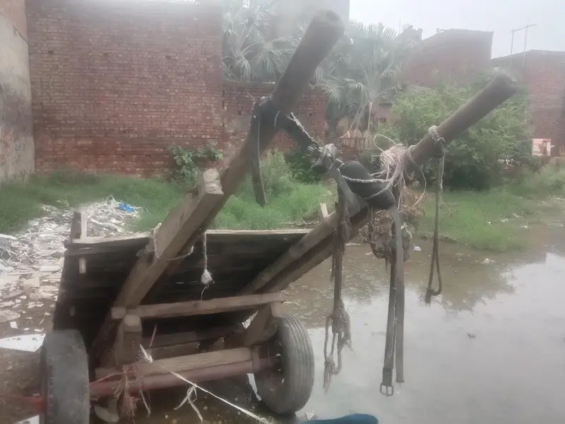 gadha reri big reri tyer good condition — photo 2