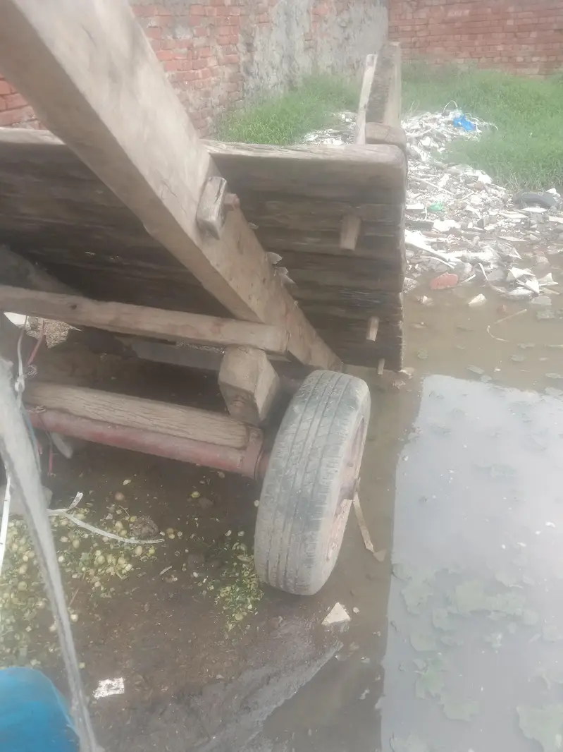 gadha reri big reri tyer good condition — photo 3