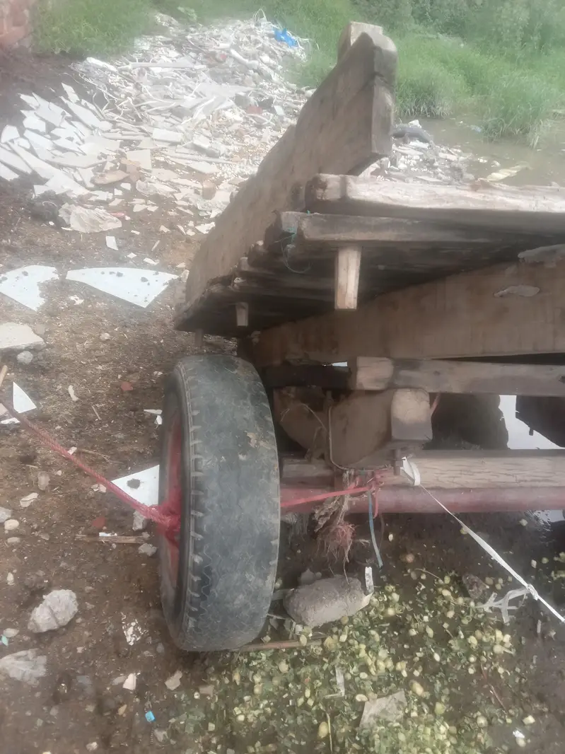 gadha reri big reri tyer good condition — photo 4