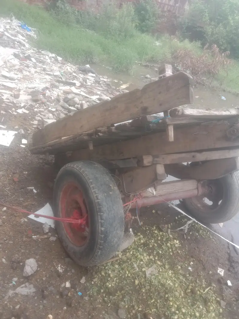 gadha reri big reri tyer good condition — photo 7