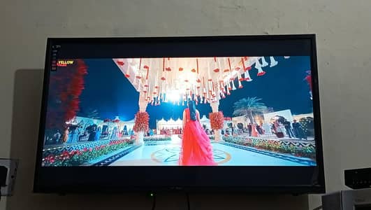 led tv Samsung