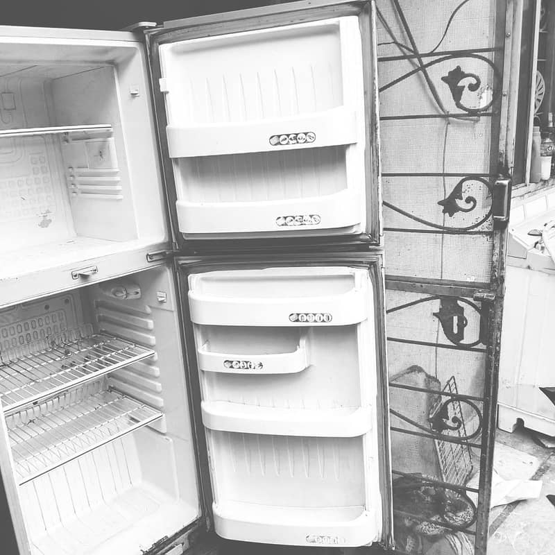 Orient Refrigerator 2