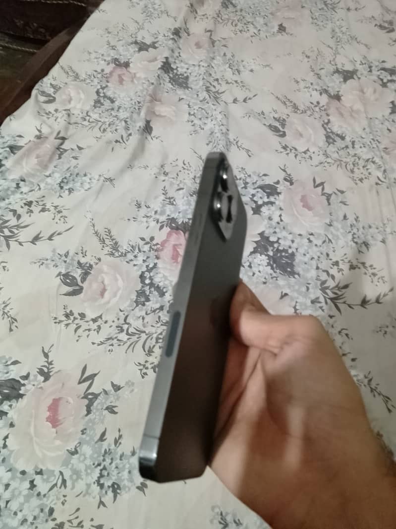 Iphone 13 Pro Max 1