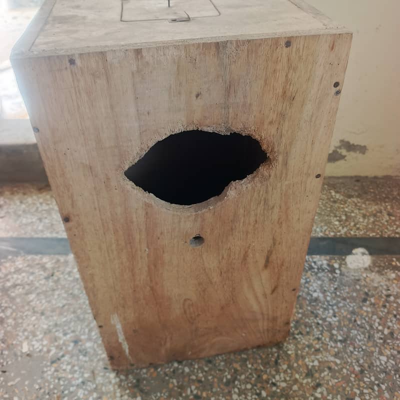 Raw  Breeding box 0