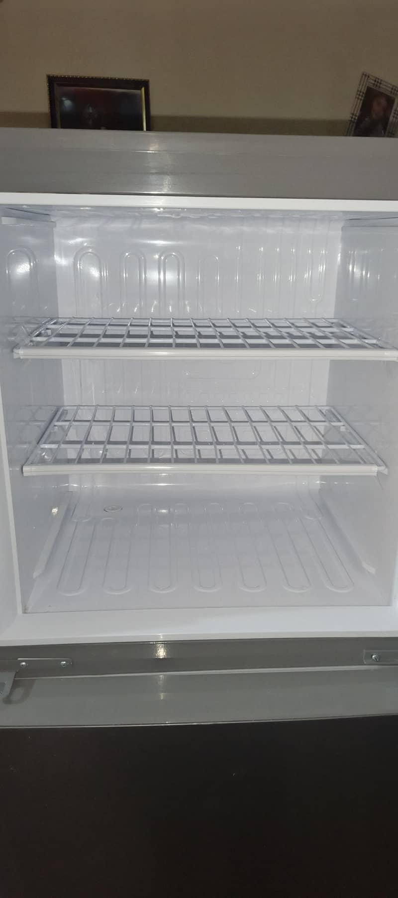 Pell Freezer 1