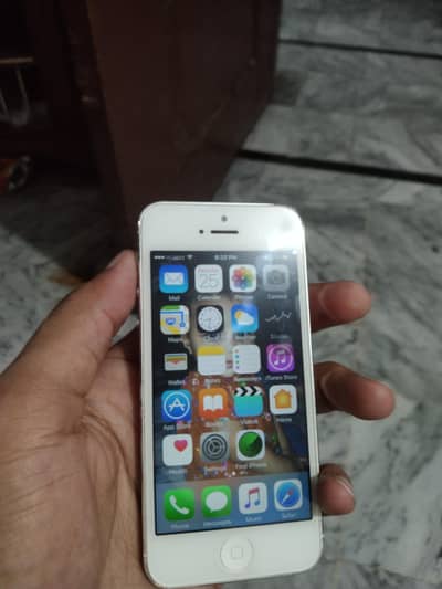 Apple iPhone 5