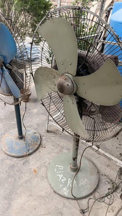 2 . . Fans  fainal 14000 .